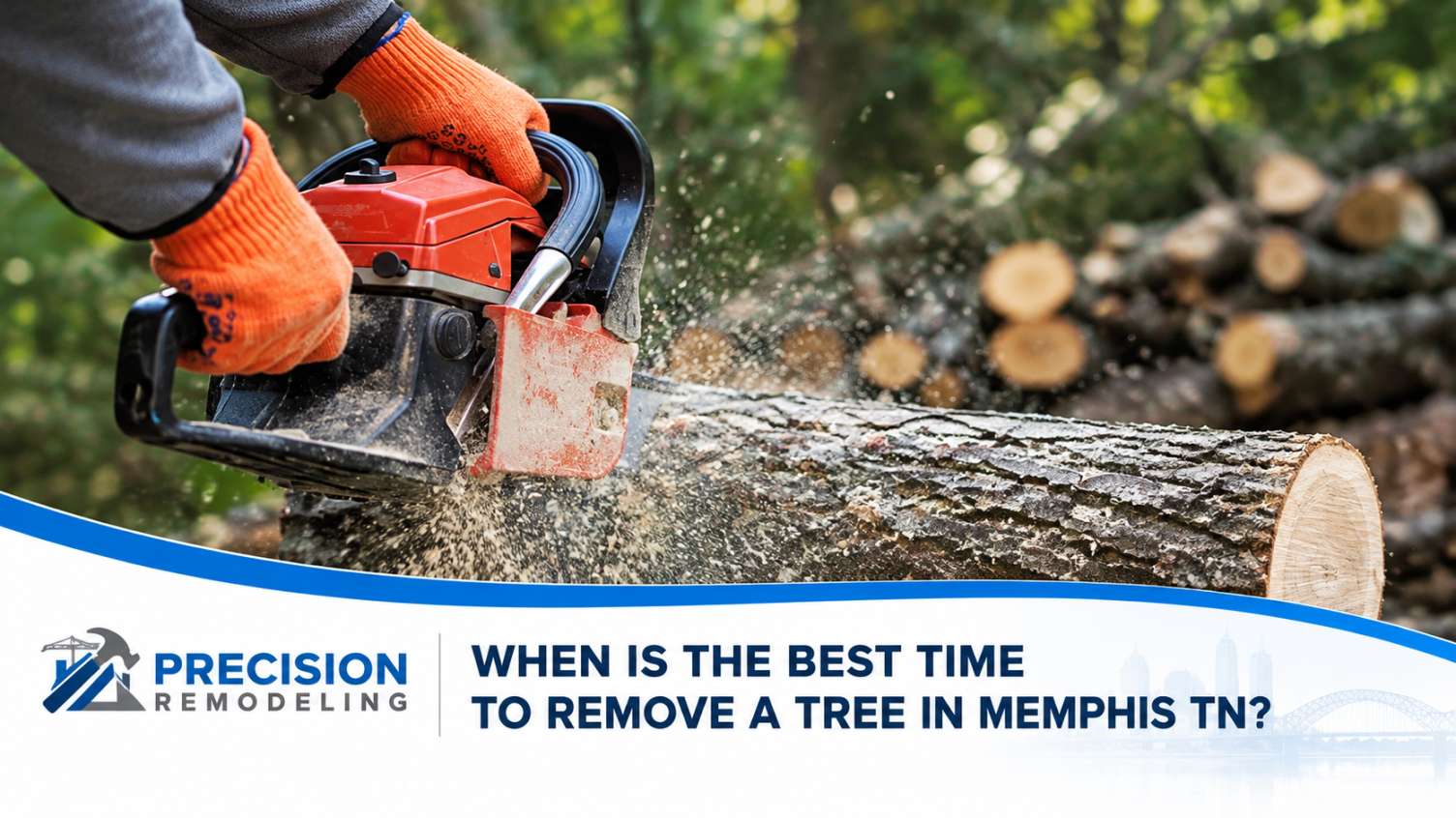 When Is the Best Time to Remove a Tree in Memphis TN_
